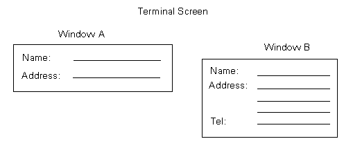 Figure 2-3 The Form as it appears in windows