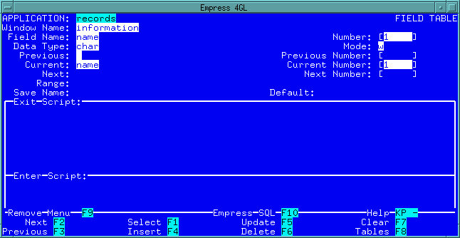 Figure 4-31 Defining the name field