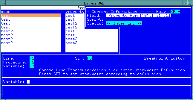 Figure 9-13 Set Variable Window